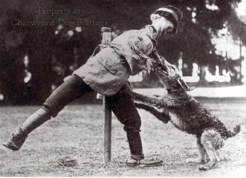 freckles the leopard beanie baby mcdonalds 1999