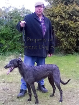 teddy bear pic wallpaper