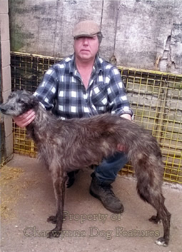 sureflap pet door tunnel extender